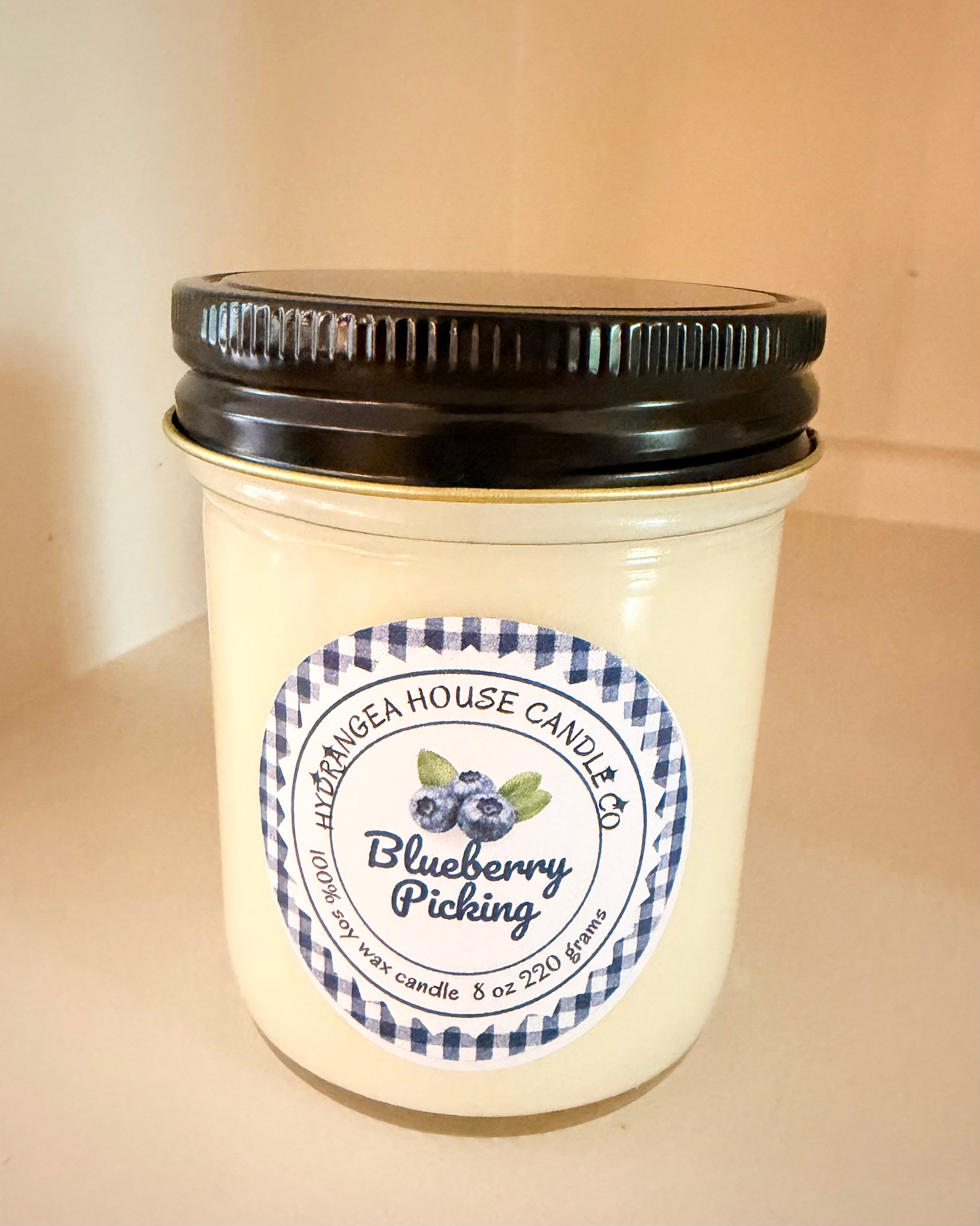 Blueberry Picking 8 oz soy candle