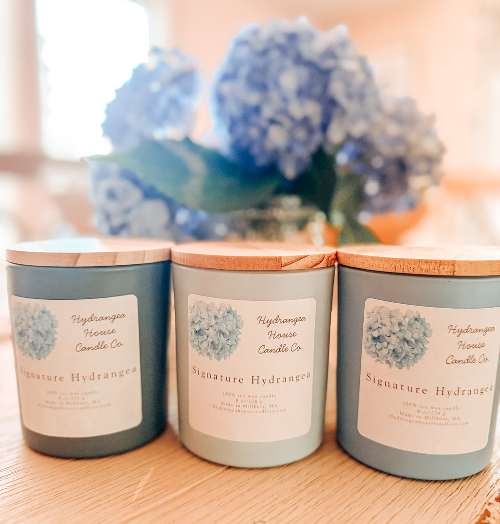 Signature Hydrangea 8 oz coconut soy wax candle