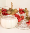 Sunset at the Pumpkin Patch 5 oz Soy candle