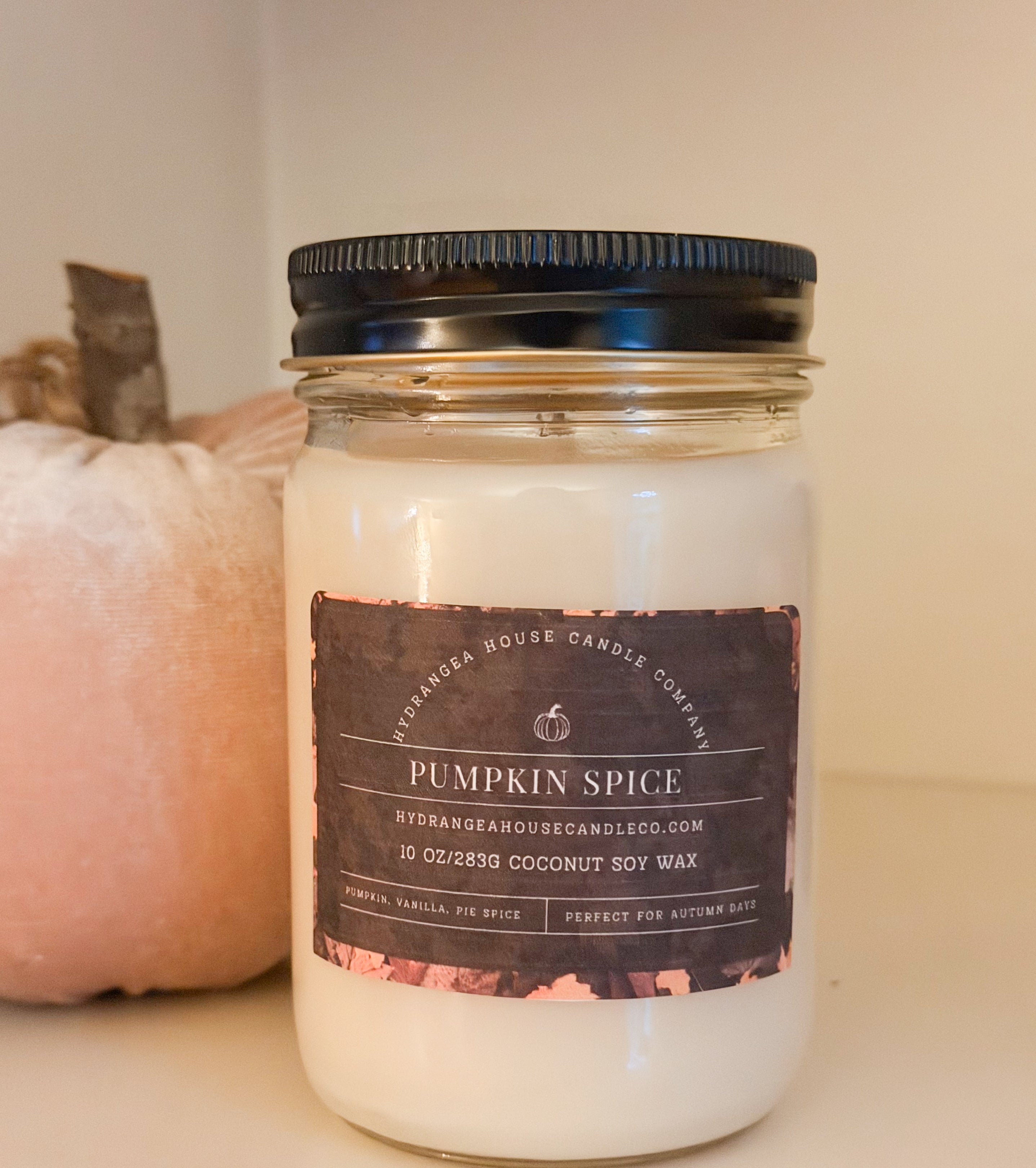 Pumpkin Spice 10 oz Coconut Soy Candle